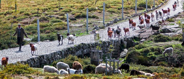 Modelo Turístico Responsável e Sustentável