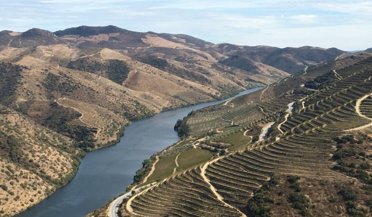 O encanto do Douro