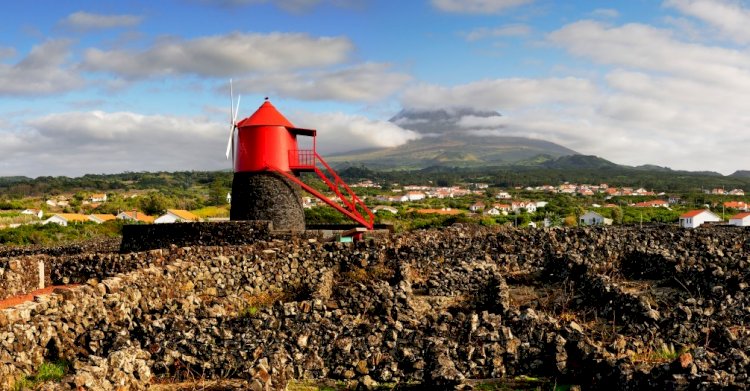 Brindar com verdelho e subir ao Pico