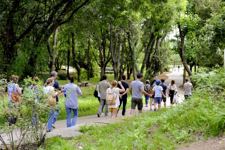 Observar os insectos e… os astros no Parque do Rio Ul