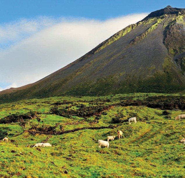 Graciosa