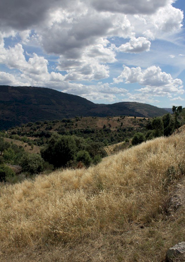 No pulmão Transmontano