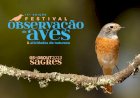 Festival de Observação de Aves regressa a Sagres