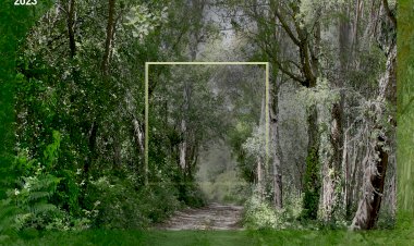 Exposição 100x100 reúne obras de 44 artistas na Praça do Peixe