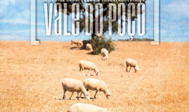 Feira Agropecuária Transfronteiriça de Vale do Poço