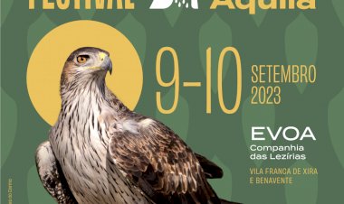 Festival celebra as águias da região