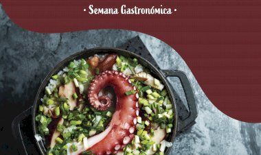 Odemira promove semana gastronómica do polvo