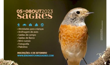 Abertas as inscrições para o festival de observação de aves & atividades de natureza