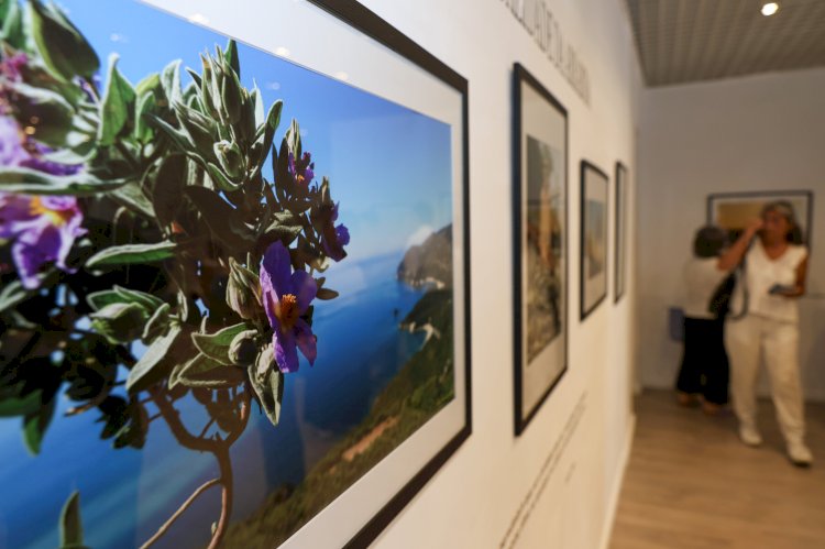 Exposição “A Espiritualidade da Arrábida” convida à reflexão