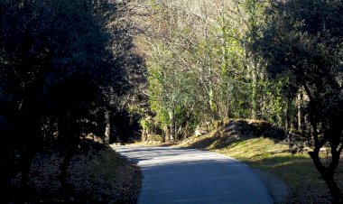 Eko Tsugi - Dança Contemporânea e Ecologia em Movimento com Coreógrafo Rafael Alvarez