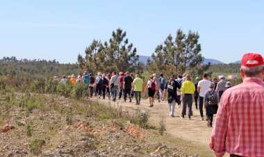 Proença-a-Nova afirma-se como destino de pedestrianismo