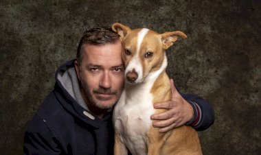 Castelo De Silves é Pet Friendly e Recebe Exposição “Amigos (Im)Perfeitos” de Carlos Filipe