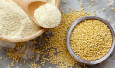 Milho-painço em destaque na 13ª Oficina Bioaromas e BioAromas LIIS