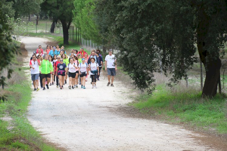 Vendas Novas adere ao maior festival de caminhadas do Alentejo com a “Rota das Bifanas”