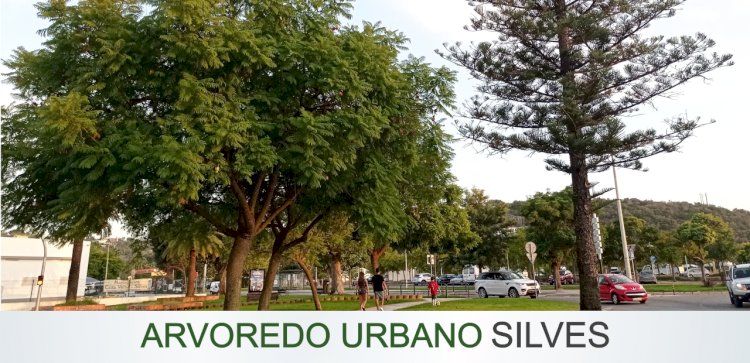 Arvoredo urbano do Concelho de Silves