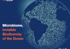 “Microbioma, a Biodiversidade Invisível do Oceano”