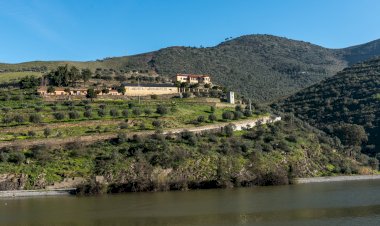 A elegância de uma Vinha Sábia do Douro