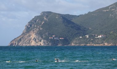 Arrábida - Prova de Natação em Águas abertas
