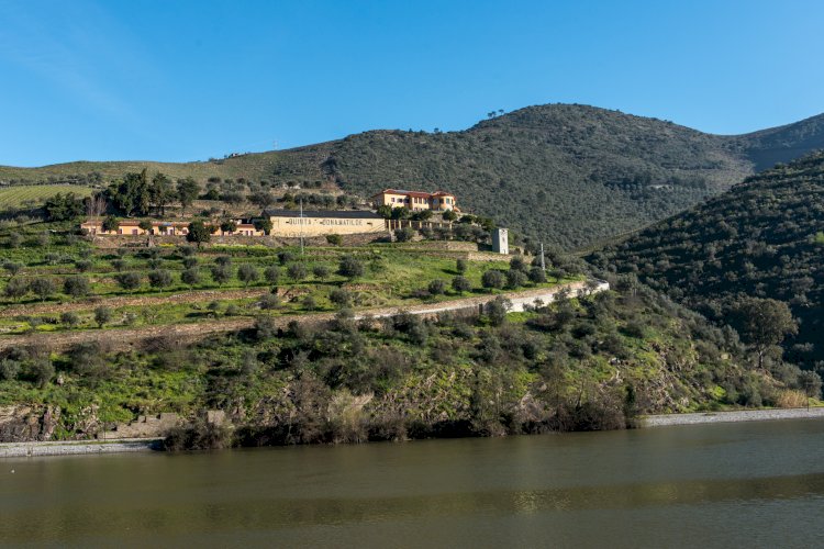 A elegância de uma Vinha Sábia do Douro