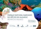 Parque Natural Marinho do Recife do Algarve – Pedra do Valado