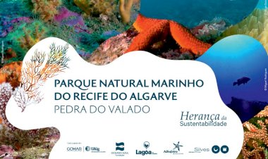 Parque Natural Marinho do Recife do Algarve – Pedra do Valado