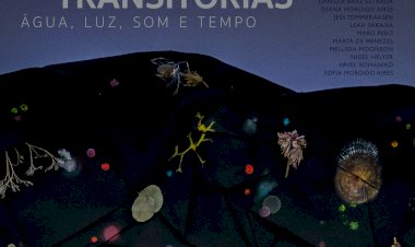 Exposição "Memórias Transitórias – Água, Luz, Som e Tempo"