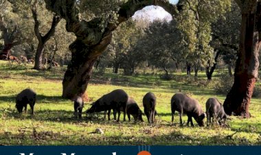 Prémio Especial Maria José Macedo Produtor/Fornecedor 2023