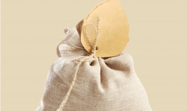 Lançamento do livro “Reminiscências” de Fernanda Judite