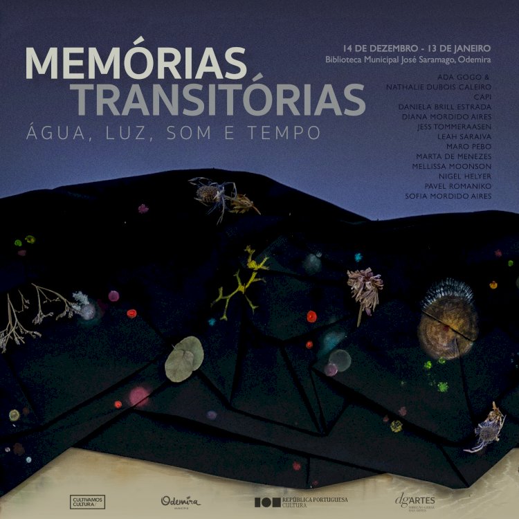 Exposição "Memórias Transitórias – Água, Luz, Som e Tempo"