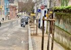 CM de Coimbra finaliza plantação de 120 árvores prevista ao abrigo do COMPETE