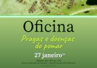 Oficina “Pragas e doenças do Pomar”