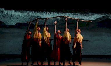 A Humanidade dança em Guimarães de 1 a 10 de Fevereiro