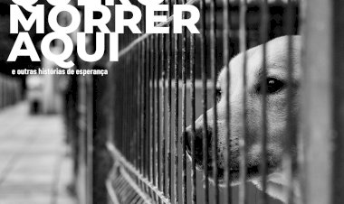 “Não quero morrer aqui”