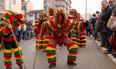 Desfile de Carnaval regressa a Oliveira do Bairro no "Domingo Magro"