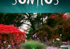 Livro “Contos bem contados: Sonhos” chegou a Viseu