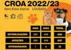 CROA com mais adopções, esterilizações e animais recolhidos