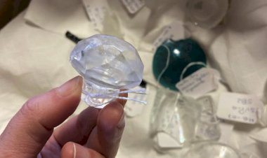 Estudantes de Arqueologia inventariam Colecção do Museu do Vidro