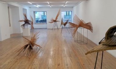 "Voo" | RUI ABREU | Finissage | Sá da Costa