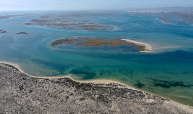 SPEA | Sem zonas húmidas, não sobreviveremos às alterações climáticas