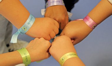 Agrupamento de Escolas Proença-a-Nova assinala Dia Escolar da Não Violência e da Paz