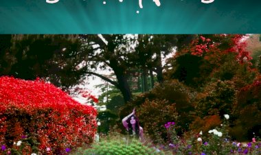 Livro “Contos bem contados: Sonhos” chegou a Viseu