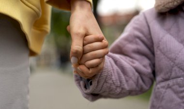 CPCJ promove Programa de Prevenção da Violência Sexual contra Crianças e Jovens