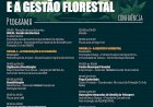 A prevenção e a gestão florestal | Marinha Grande