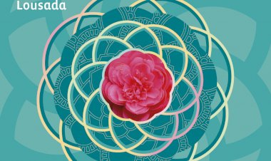 Lousada é a Vila das Camélias