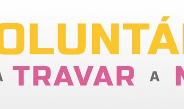 Travar a Miopia: o programa para as escolas que pretende melhorar a visão dos mais novos