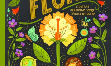 "O que há dentro de uma flor? E outras perguntas sobre ciência e natureza" | Rachel Ignotofsky