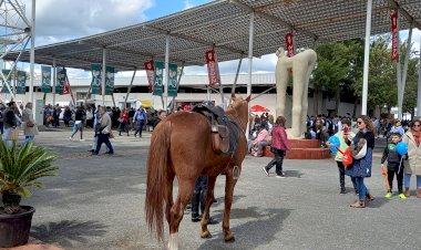 A comemorar 40 anos a Ovibeja é uma feira plural com uma identidade que a torna única no país