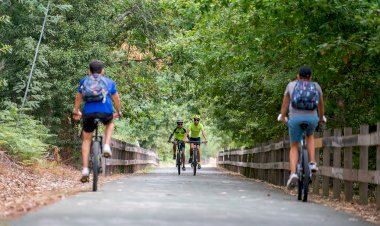 Tondela cresceu em dormidas e em hóspedes em 2023