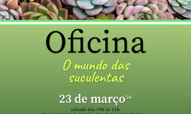 Oficina de “O Mundo das Suculentas”
