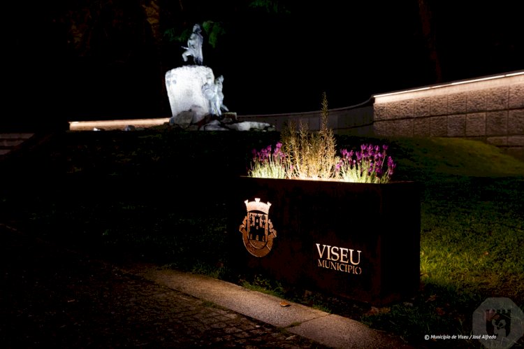 Nova iluminação cénica destaca Estátua de Viriato, em Viseu